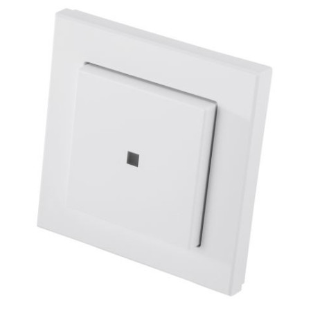 Funk-Wandtaster 2-fach, Aufputzmontage - HM-PB-2-WM55-2