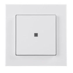 Funk-Wandtaster 2-fach, Aufputzmontage - HM-PB-2-WM55-2