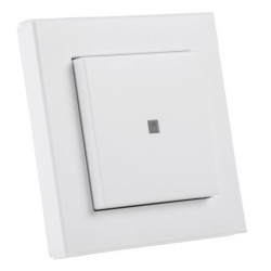 Funk-Wandtaster 2-fach, Aufputzmontage - HM-PB-2-WM55-2