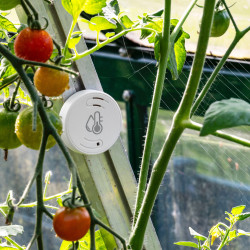 ELV Smart Home ARR-Bausatz Temperatur- und Luftfeuchtigkeitssensor Kompakt ELV-SH-CTH